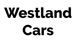 Westland Cars - Polski Warsztat Samochodowy  | Honselersdijk