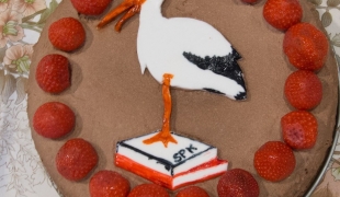 Szkoła Polska przy Ambasadzie RP | Den Haag