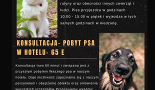 Hotel dla psiaków - Nieuw-Weerdinge  | Nieuw-Weerdinge | €35.00