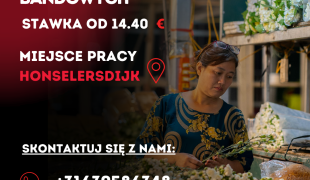 Bukiety Bandowe i Ręczne - Honselersdijk  | Honselersdijk | €14.40