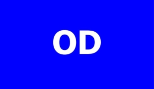 Aktualne oferty - bez prawa jazdy | Wijchen