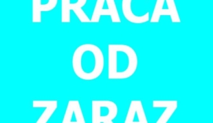 PRODUKCJA DROBIU - od zaraz | Soest