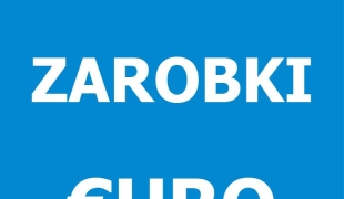 PRACOWNIK UTRZYMANIA RUCHU PARKINGOWEGO - praca długoterminowa | Hellevoetsluis