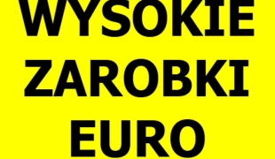 PRODUKCJA WYKŁADZIN- wysokie wynagrodzenie | Genemuiden