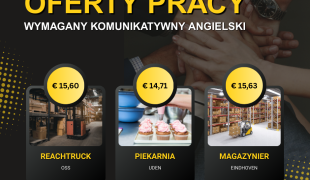 praca z komunikatywnym angielskim  | Uden