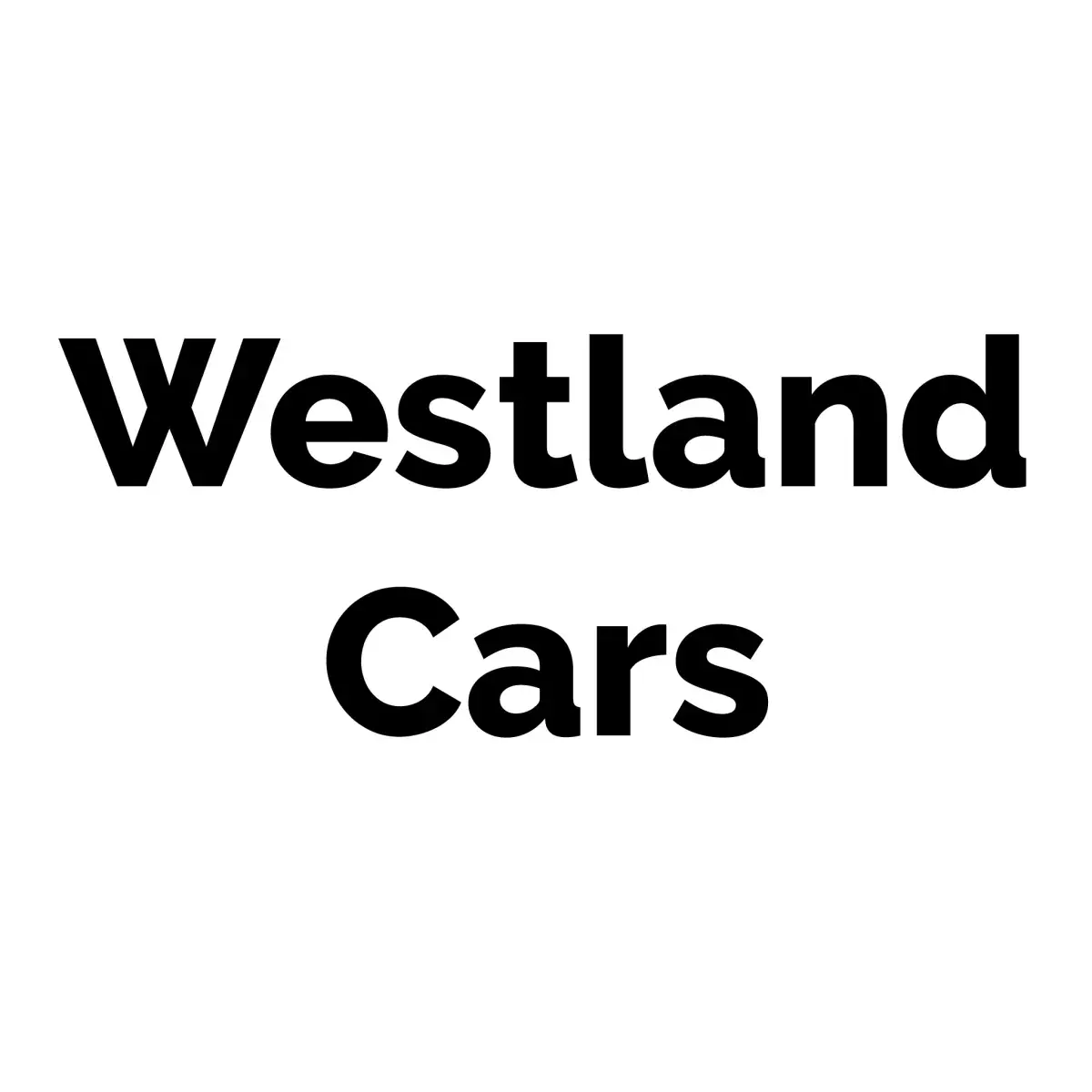 Westland Cars - Polski Warsztat Samochodowy  | Honselersdijk