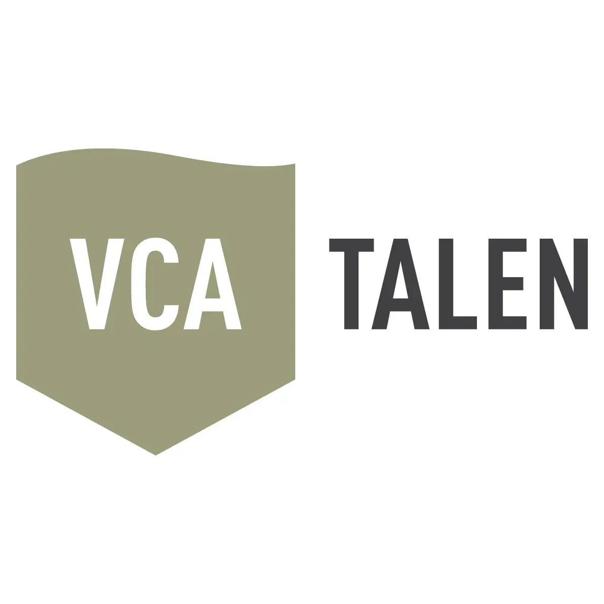 VCA Talen | Kursy i szkolenia zawodowe