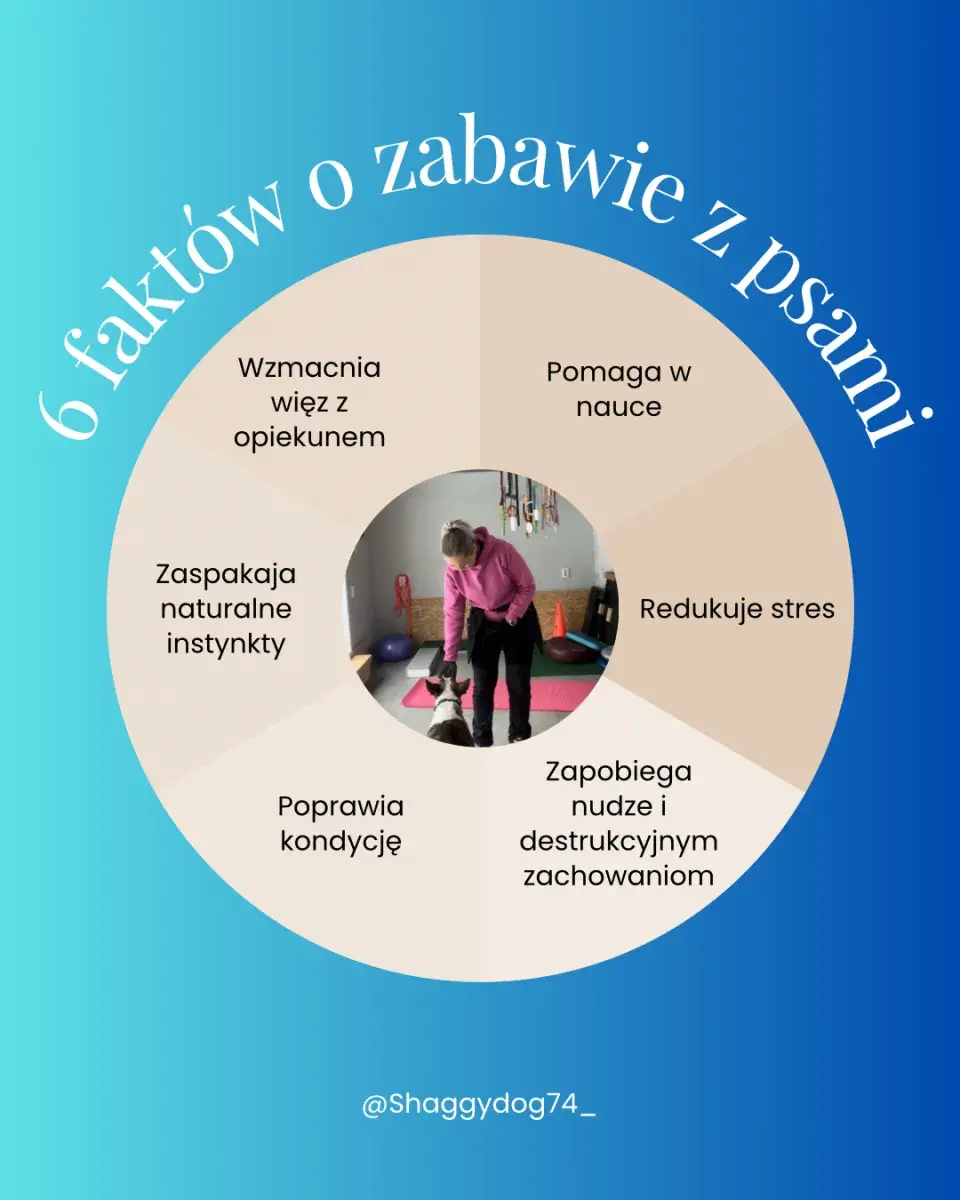 Hotel dla psiaków - Nieuw-Weerdinge  | Nieuw-Weerdinge | €35.00