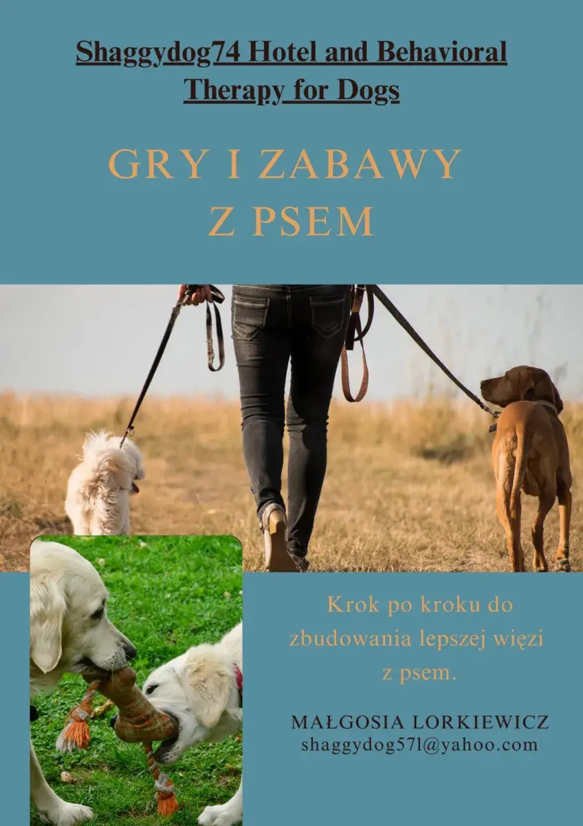 Treningi oraz Konsultacje Behawiorlane | Nieuw-Weerdinge | €35.00