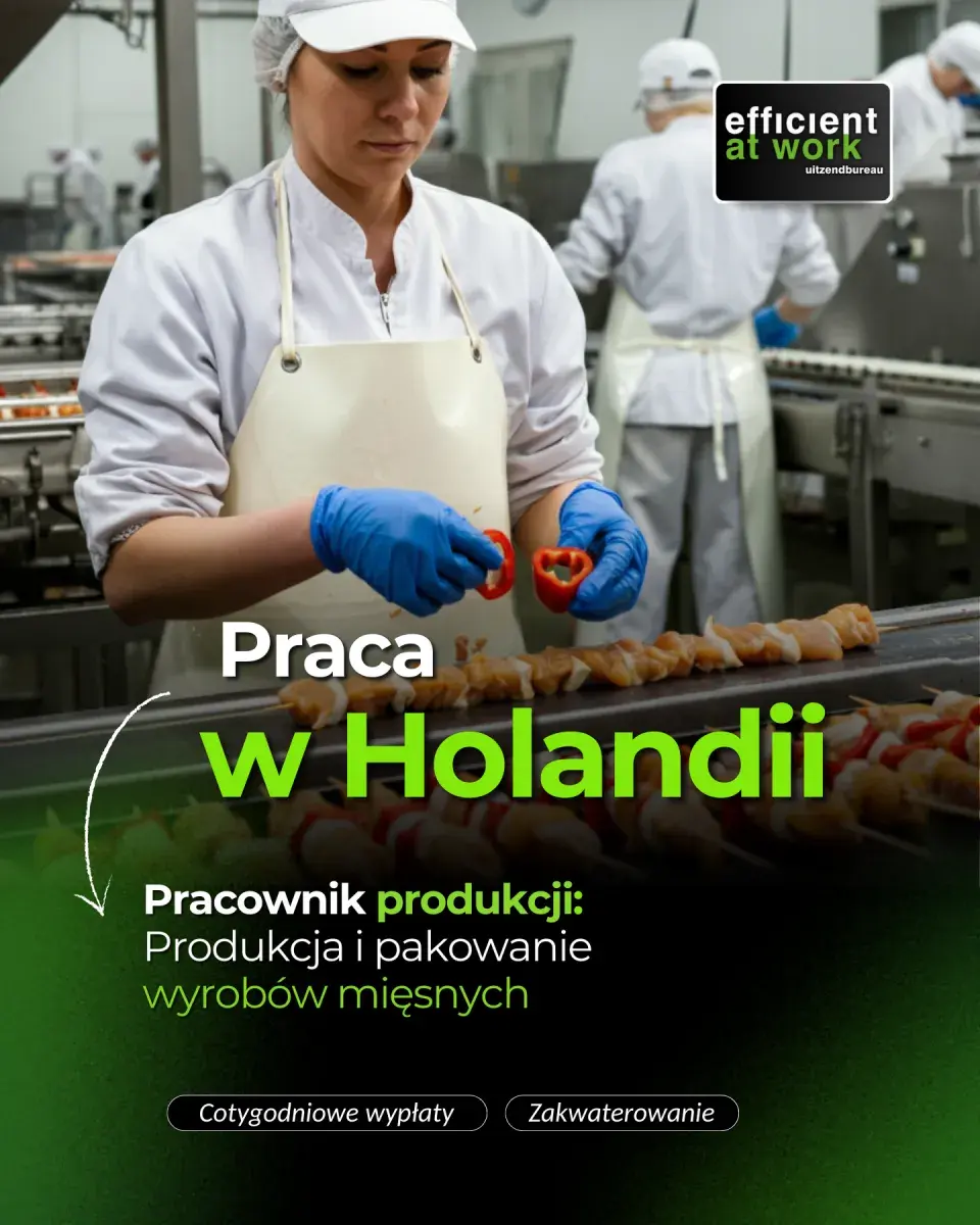 Praca w Alphen aan den Rijn | De Lier