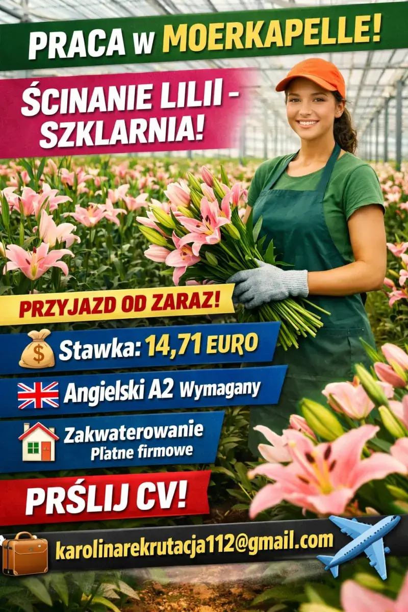 Ścinanie lilii | Moerkapelle | €14.71